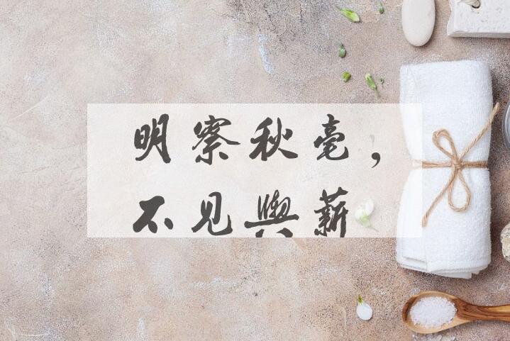 成语明察秋毫，不见舆薪是什么意思？