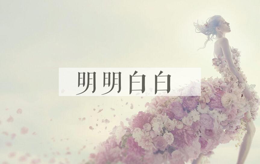 成语明明白白是什么意思？