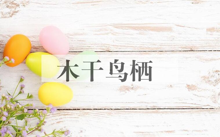 成语木干鸟栖是什么意思？