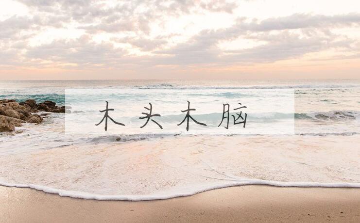 成语木头木脑是什么意思？