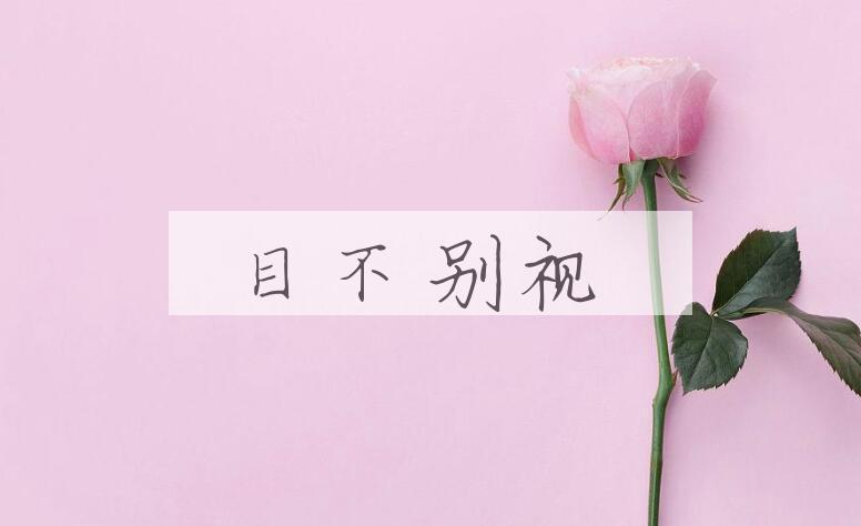 成语目不别视是什么意思？