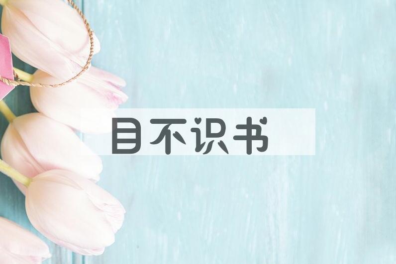 成语目不识书是什么意思？