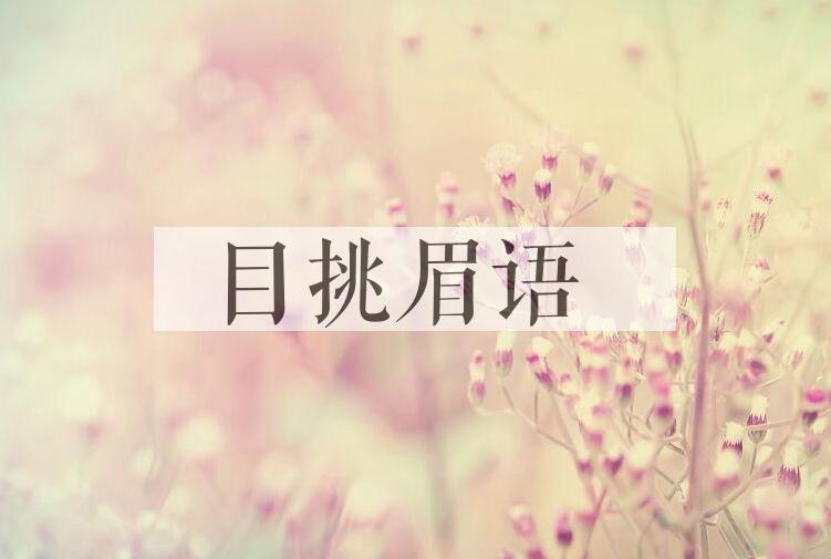 成语目挑眉语是什么意思？