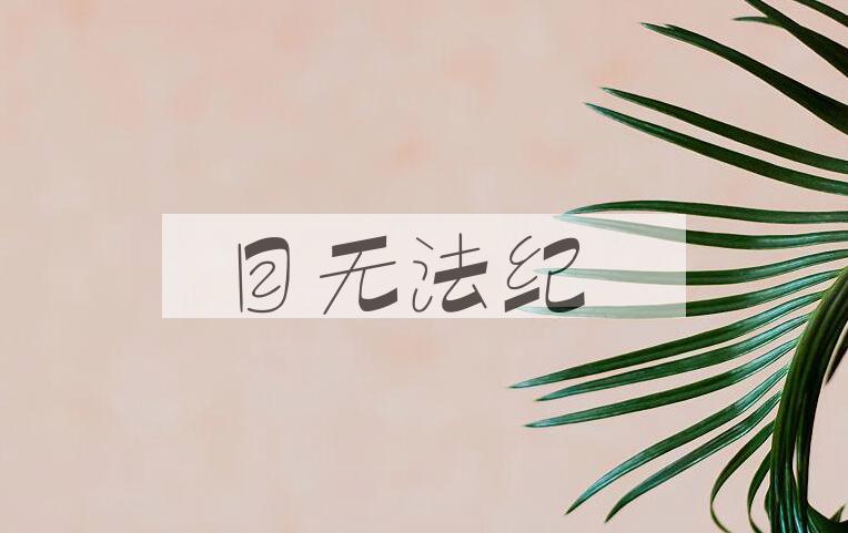 成语目无法纪是什么意思？