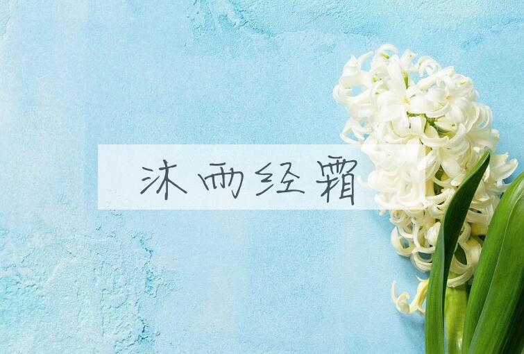 成语沐雨经霜是什么意思？