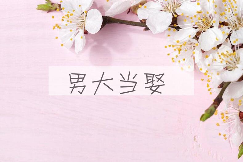成语男大当娶是什么意思？