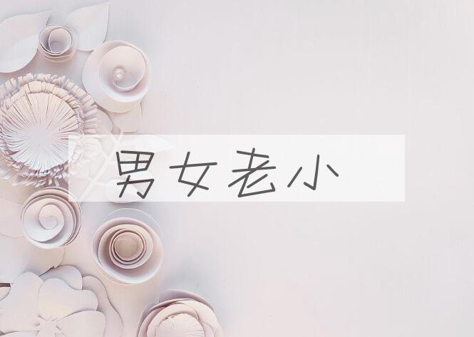 成语男女老小是什么意思？