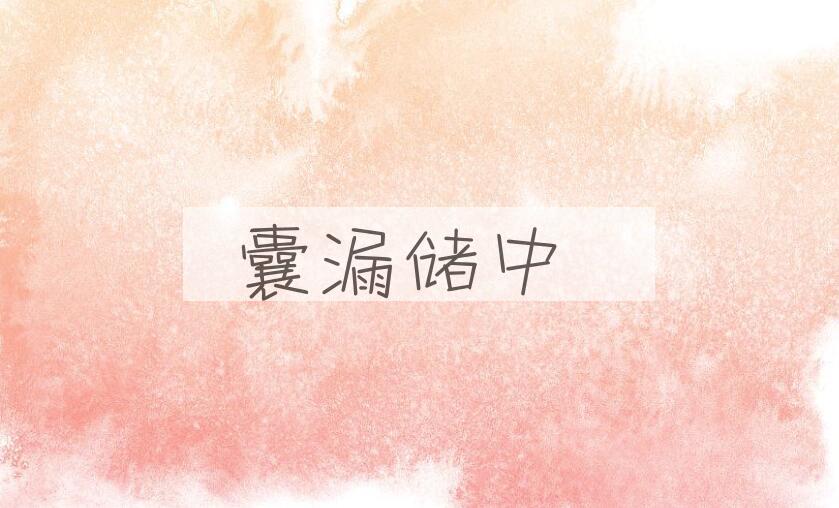 成语囊漏储中是什么意思？