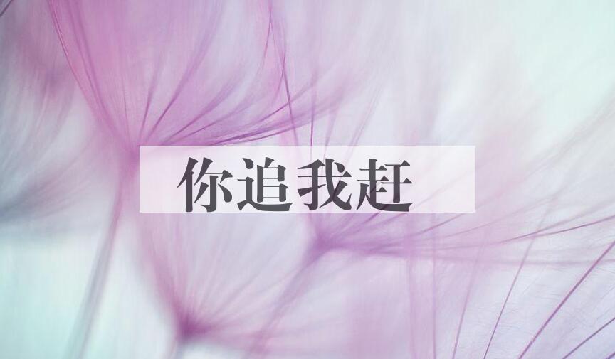 成语你追我赶是什么意思？