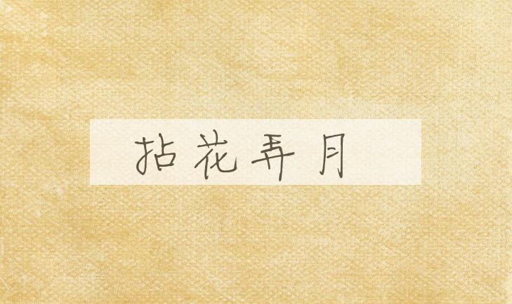 成语拈花弄月是什么意思？