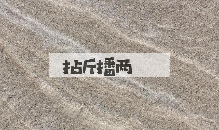 成语拈斤播两是什么意思？