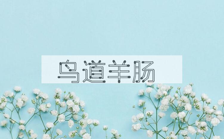 成语鸟道羊肠是什么意思？