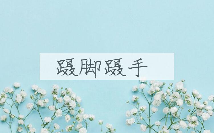 成语蹑脚蹑手是什么意思？