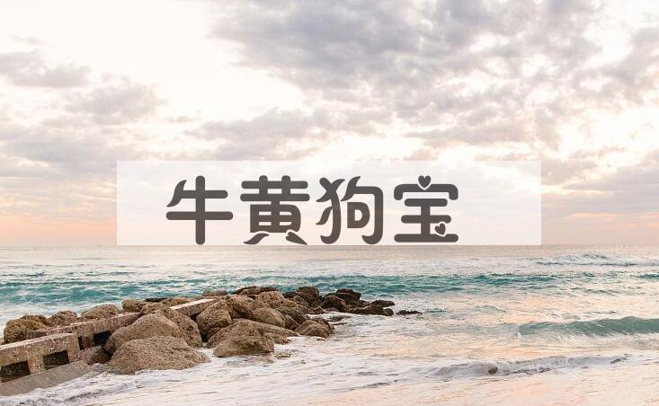 成语牛黄狗宝是什么意思？