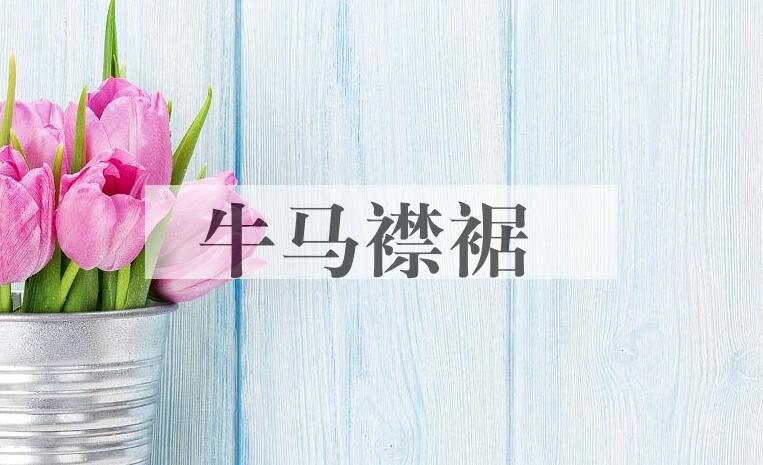 成语牛马襟裾是什么意思？