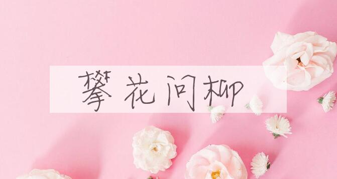 成语攀花问柳是什么意思？