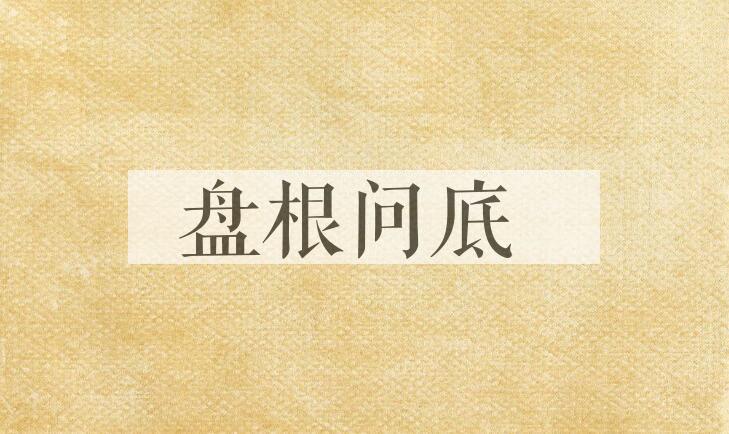 成语盘根问底是什么意思？