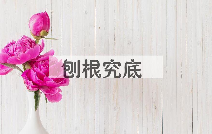 成语刨根究底是什么意思？