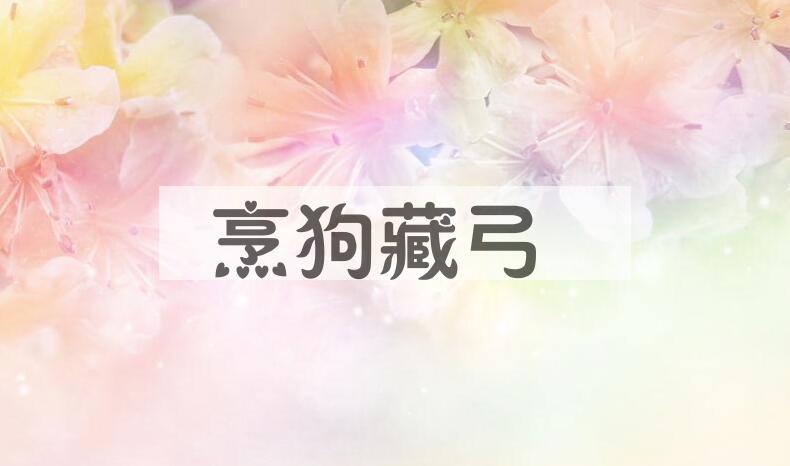 成语烹狗藏弓是什么意思？