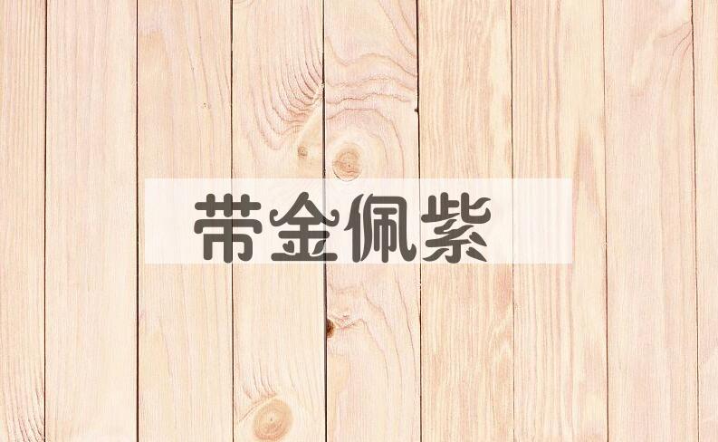 成语带金佩紫是什么意思？