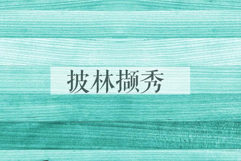 成语披林撷秀是什么意思？