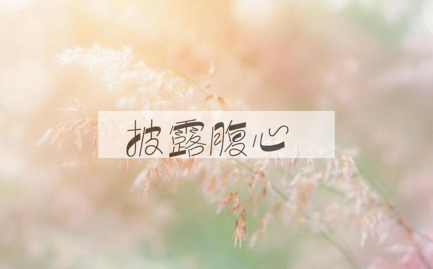 成语披露腹心是什么意思？