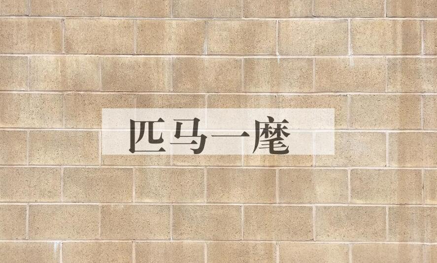 成语匹马一麾是什么意思？