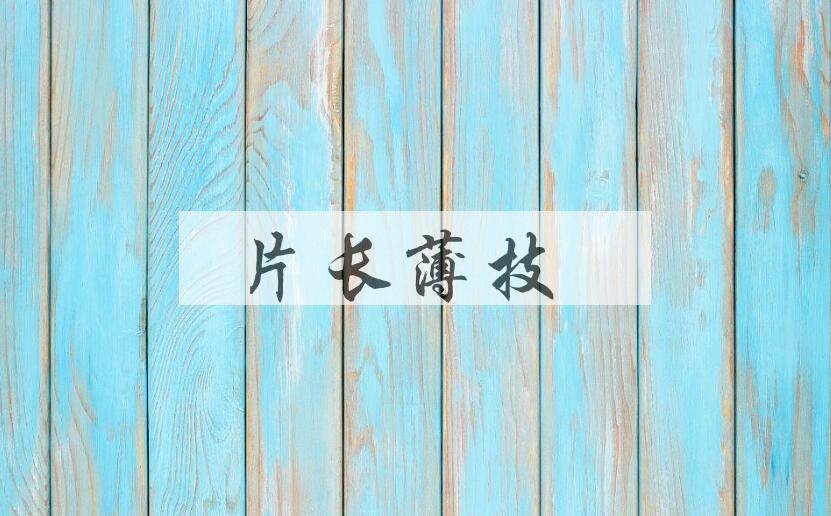 成语片长薄技是什么意思？
