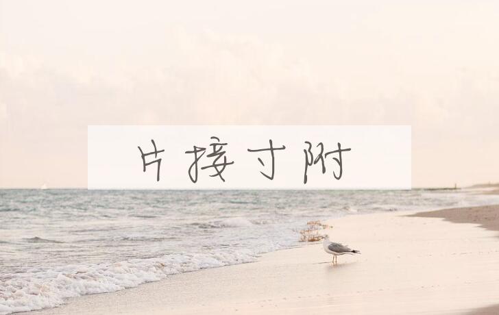 成语片接寸附是什么意思？