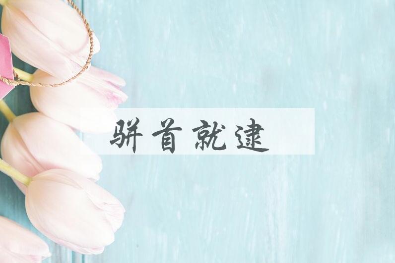 成语骈首就逮是什么意思？