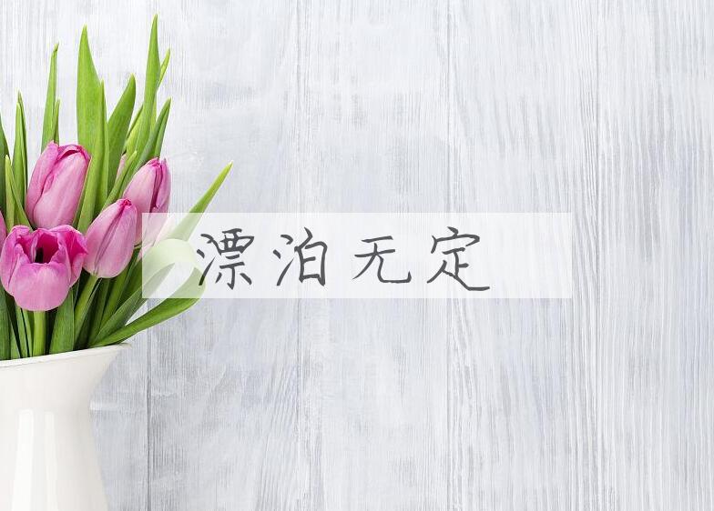 成语漂泊无定是什么意思？