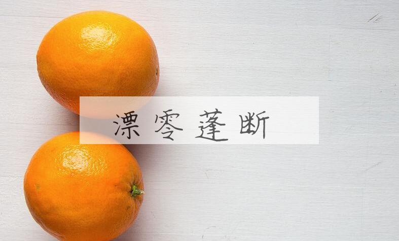 成语漂零蓬断是什么意思？