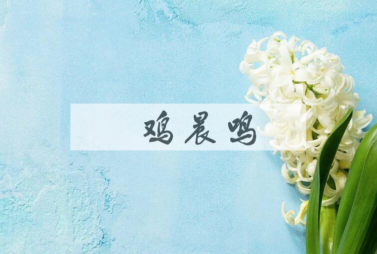 成语牝鸡晨鸣是什么意思？