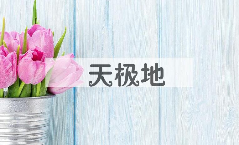 成语帡天极地是什么意思？