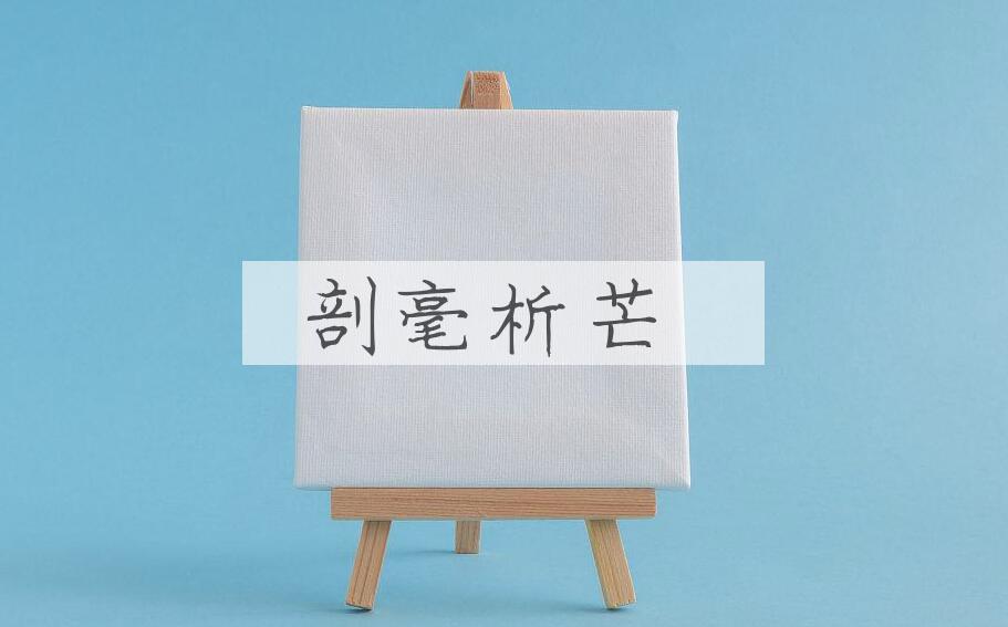 成语剖毫析芒是什么意思？