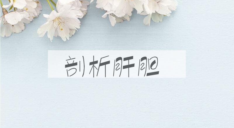 成语剖析肝胆是什么意思？