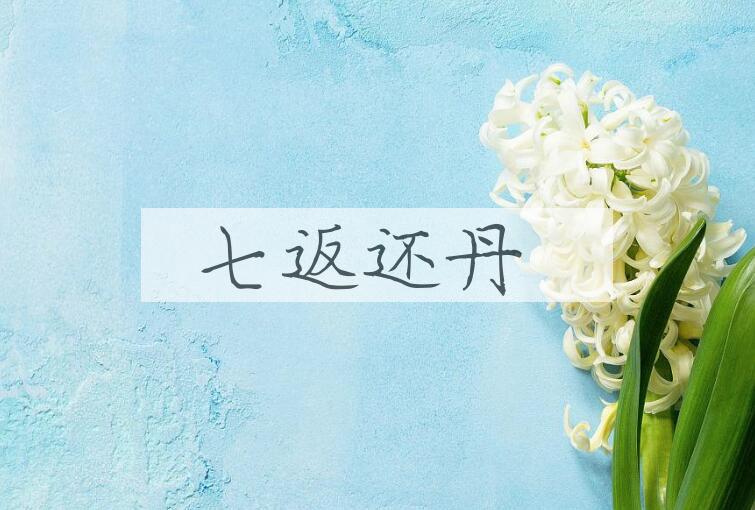 成语七返还丹是什么意思？