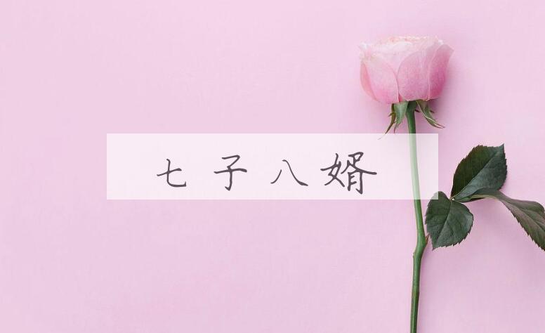 成语七子八婿是什么意思？