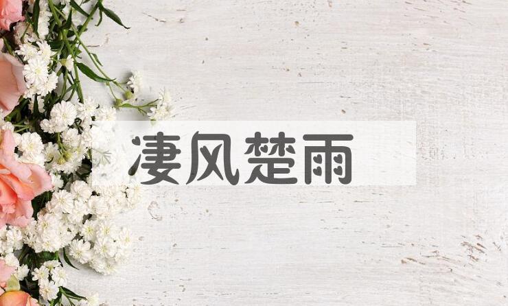 成语凄风楚雨是什么意思？