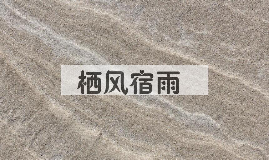 成语栖风宿雨是什么意思？