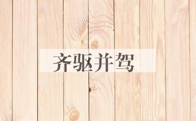 成语齐驱并驾是什么意思？