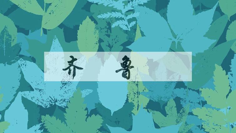 成语齐纨鲁缟是什么意思？