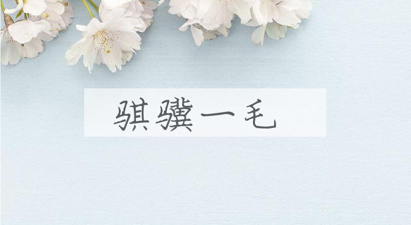 成语骐骥一毛是什么意思？