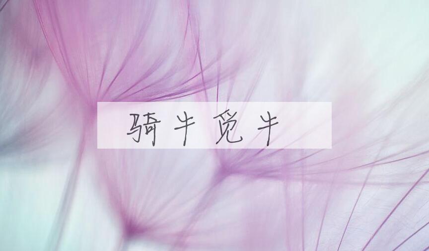 成语骑牛觅牛是什么意思？
