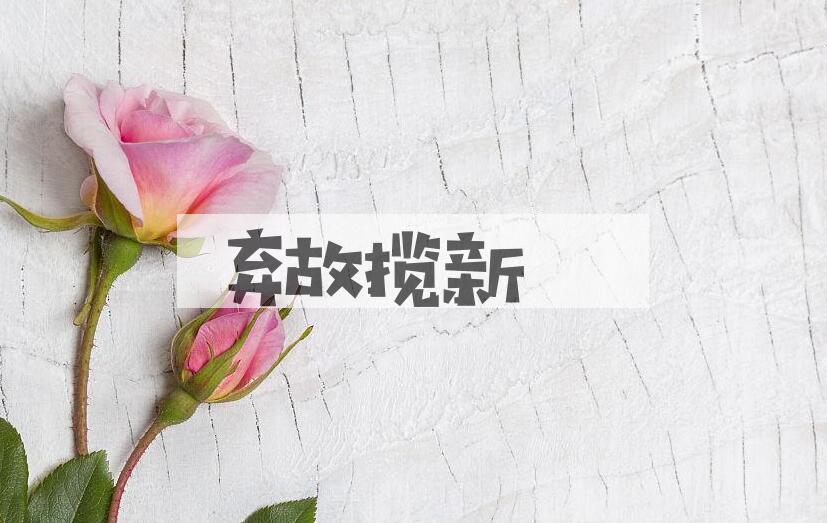 成语弃故揽新是什么意思？