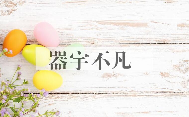 成语器宇不凡是什么意思？