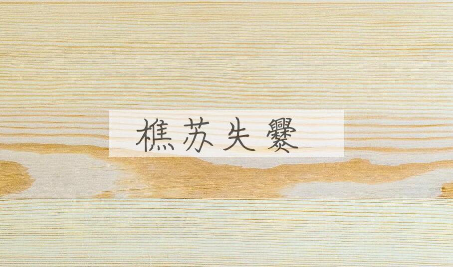 成语樵苏失爨是什么意思？