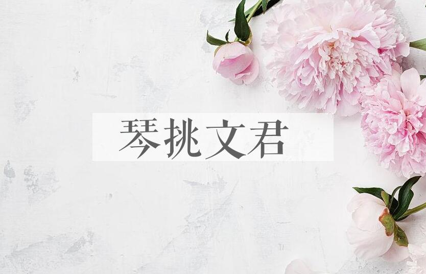 成语琴挑文君是什么意思？