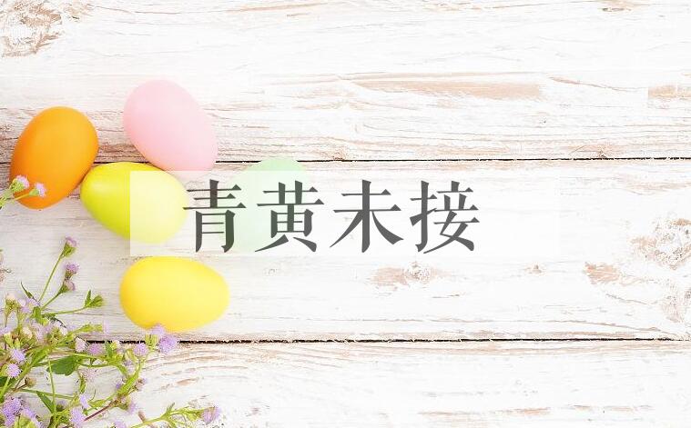 成语青黄未接是什么意思？