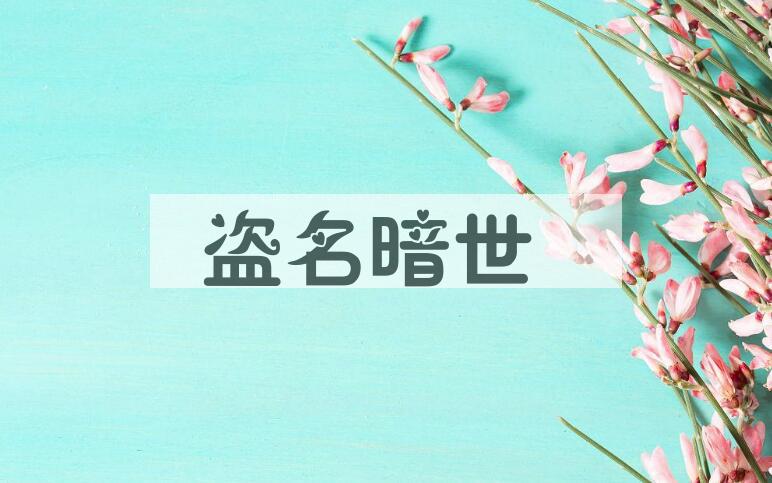 成语盗名暗世是什么意思？